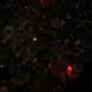 Meet your Posher, Katlyn